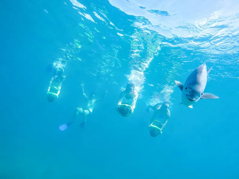 Snorkelers and a paddleboarder over a reef on a snorkeling in Cabo San Lucas sea adventure tour
